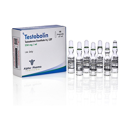 테스토볼린 (테스토스테론 에난테이트 Testosterone Enanthate 250mg/ml)